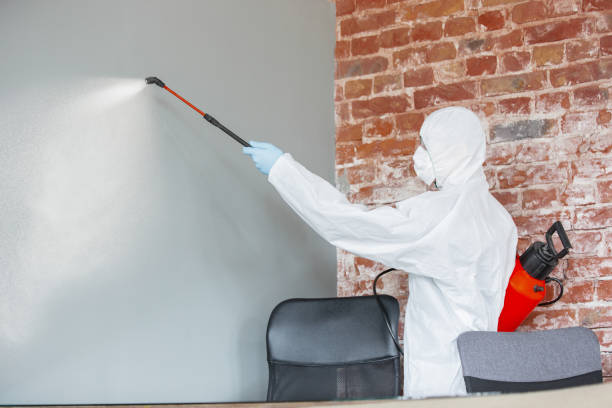 Best Black Mold Removal  in Sonoma State University, CA