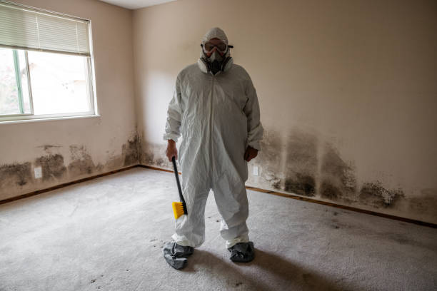 Best Emergency Mold Remediation  in Sonoma State University, CA